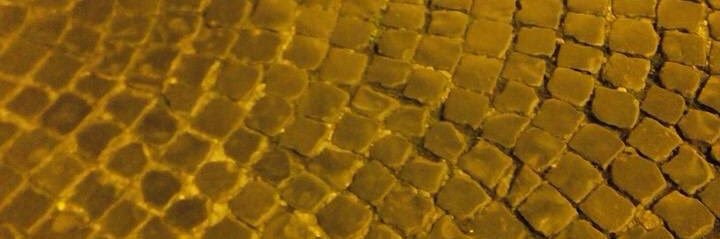 Madhu Bhardwaj banner