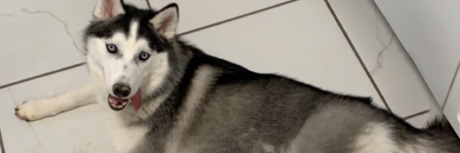 Kodavity's profile banner image