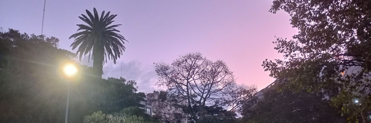 cin_aylen's profile banner image