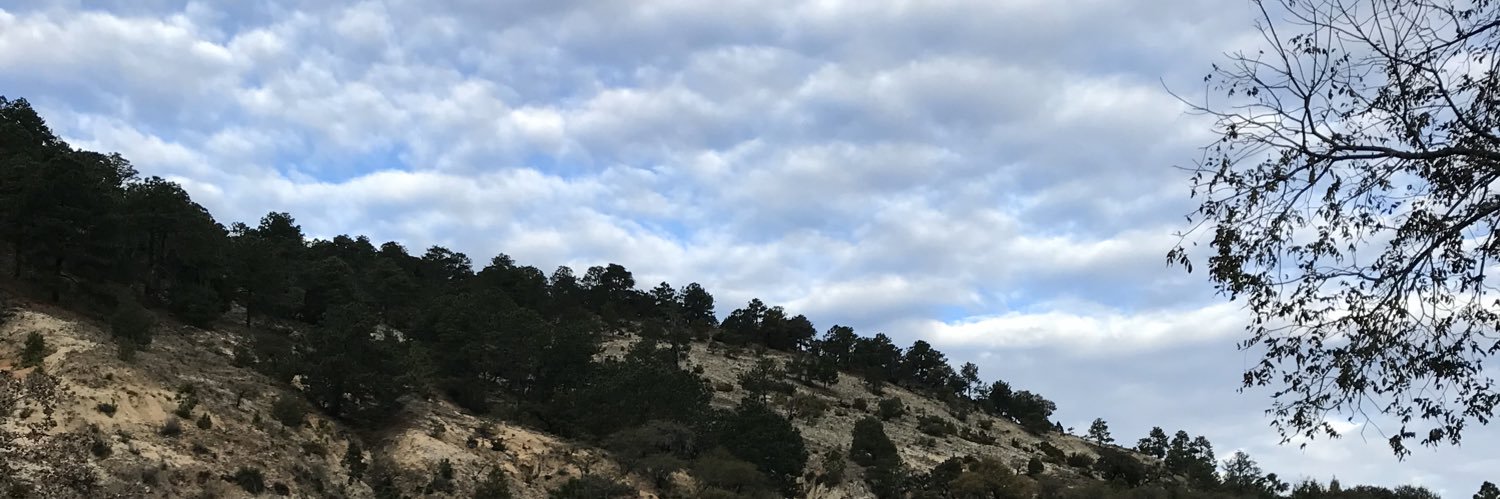 DanyNietoo's profile banner image