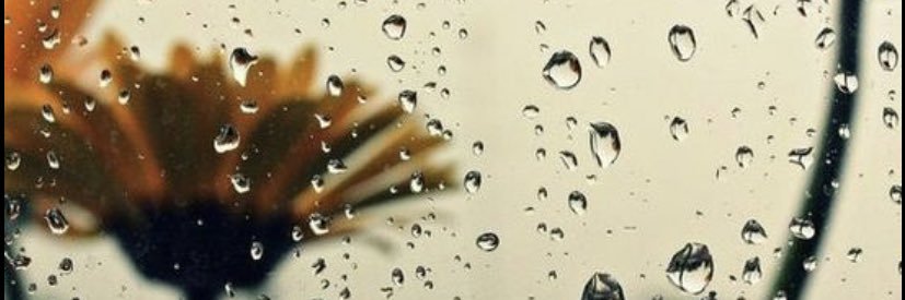 marce_wh's profile banner image