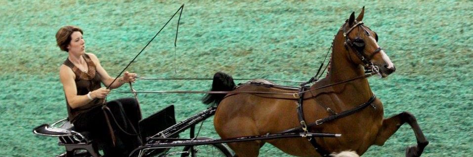 KeenBehringer's profile banner image