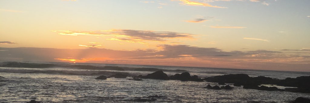 sofimonge99's profile banner image