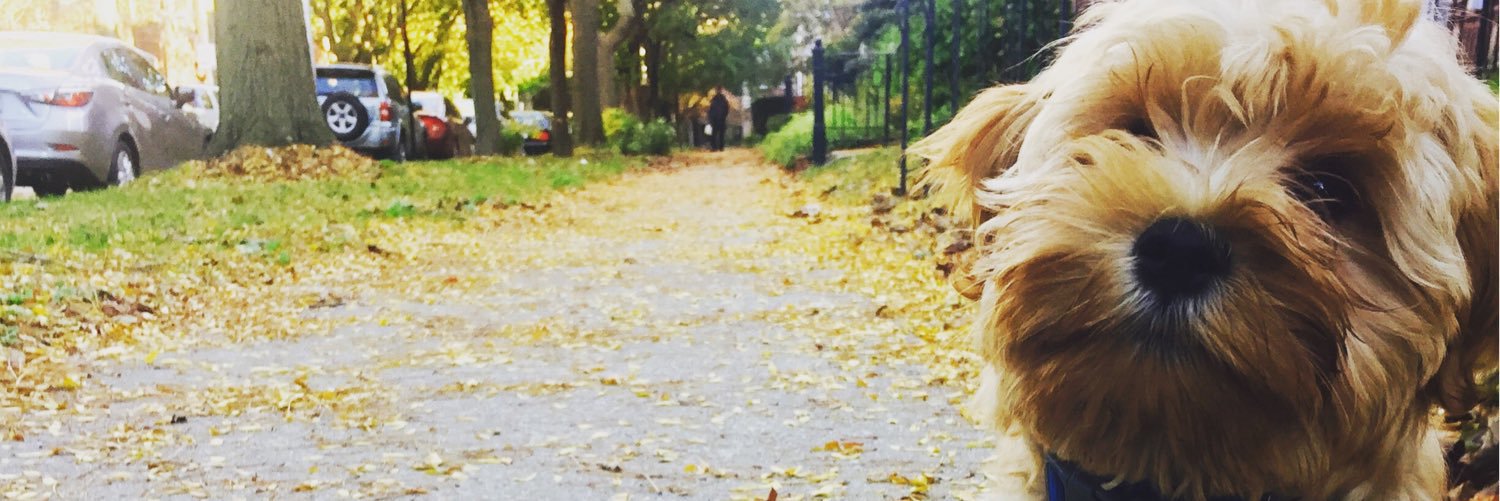 findingerin1's profile banner image