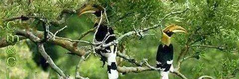 MuchKhafid's profile banner image