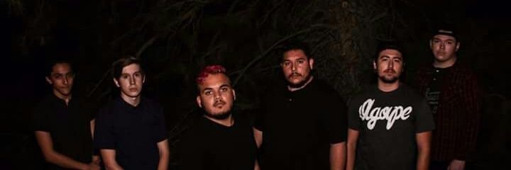 AAuthorOfficial's profile banner image