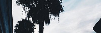 CutsEEyCaMren's profile banner image