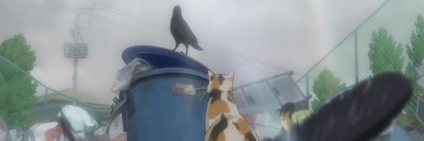 Av_TorresR Profile Banner