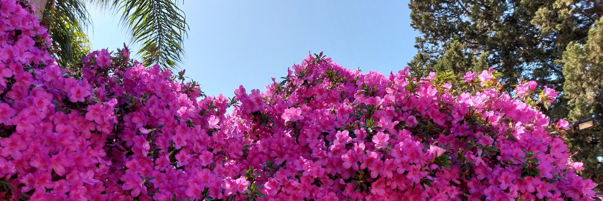 beecolbie's profile banner image