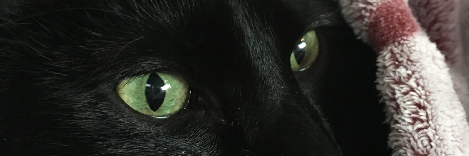 charleyshroom's profile banner image