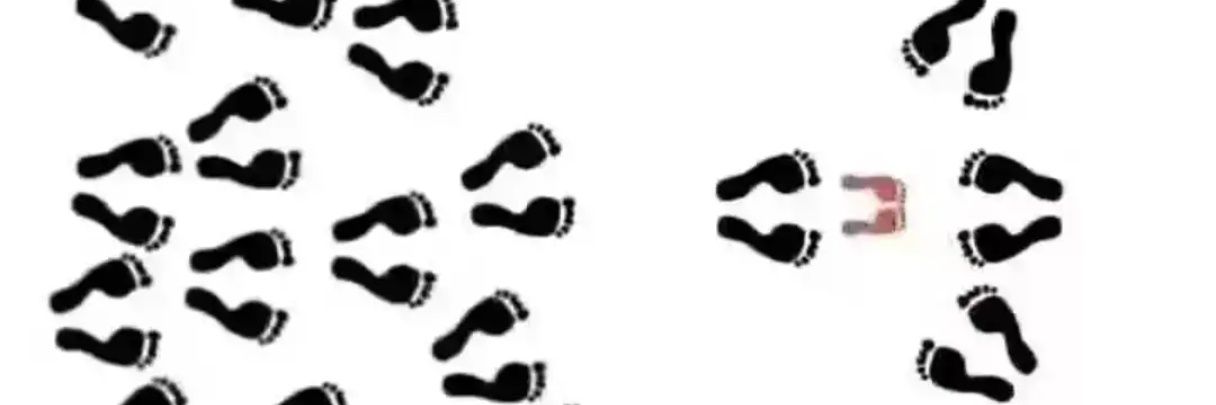 北京情侣-随风 banner