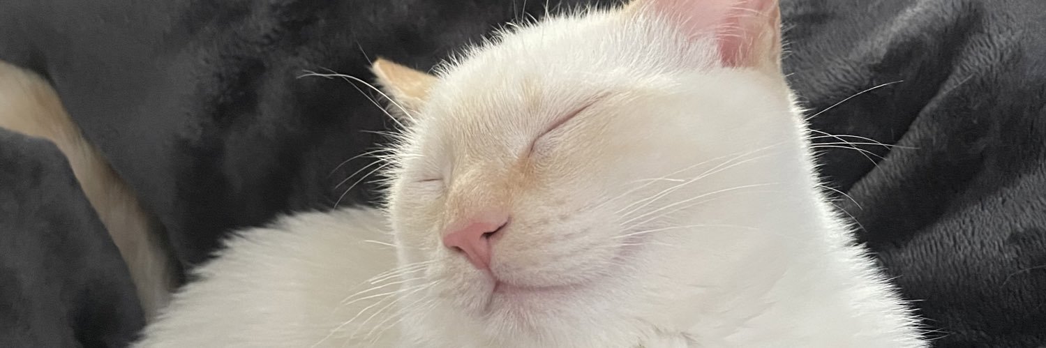 tillerzz's profile banner image