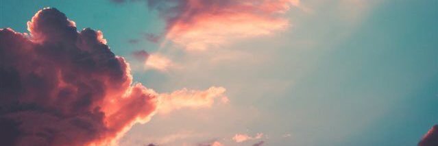 anitacarol0's profile banner image