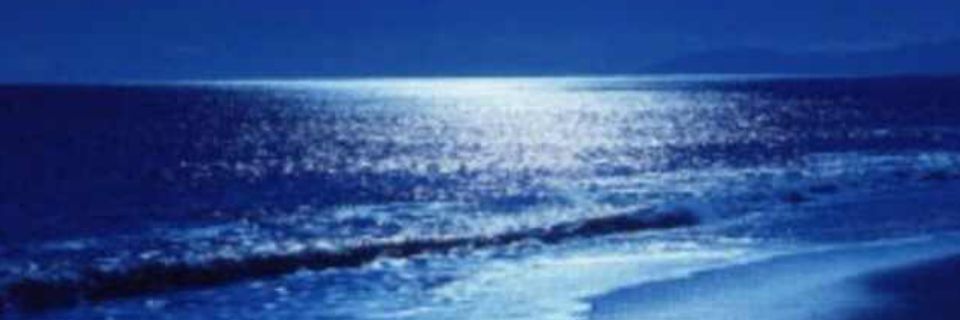 Aziza__2's profile banner image