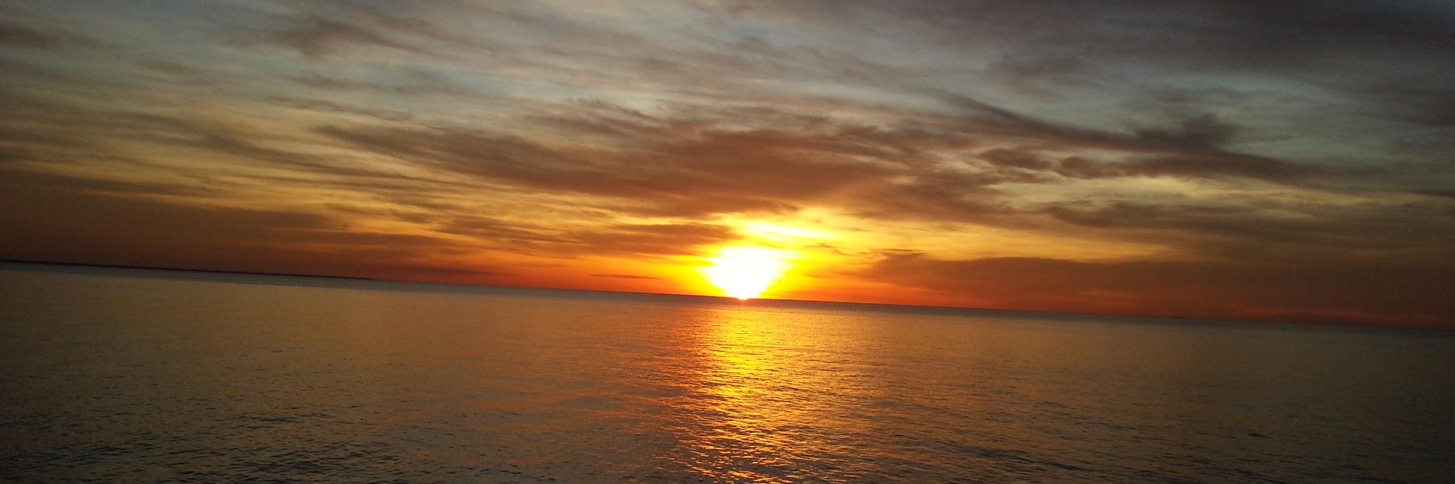 Abinesh Krishan अभिनेश कृष्ण banner