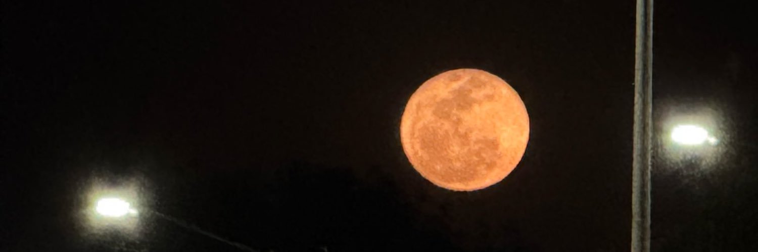 letidiaaz's profile banner image