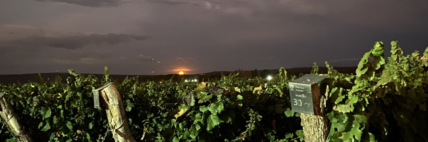AntoPeliche's profile banner image