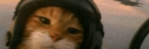 lucerxoo's profile banner image