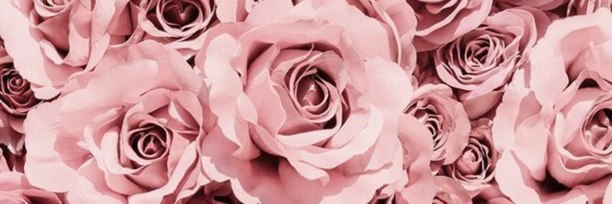 irene marcaide banner