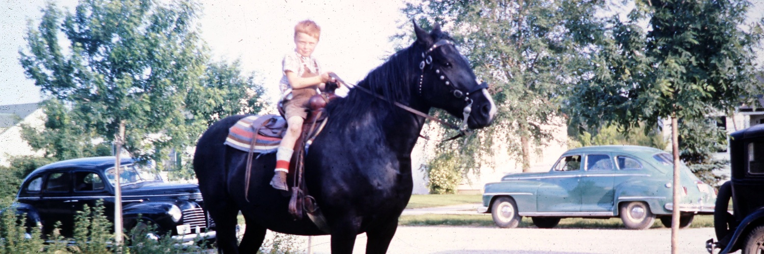 noBjustRyan's profile banner image