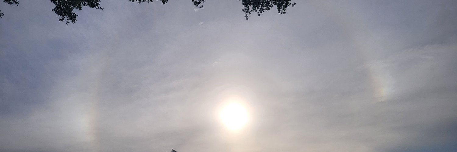Mirmobe's profile banner image