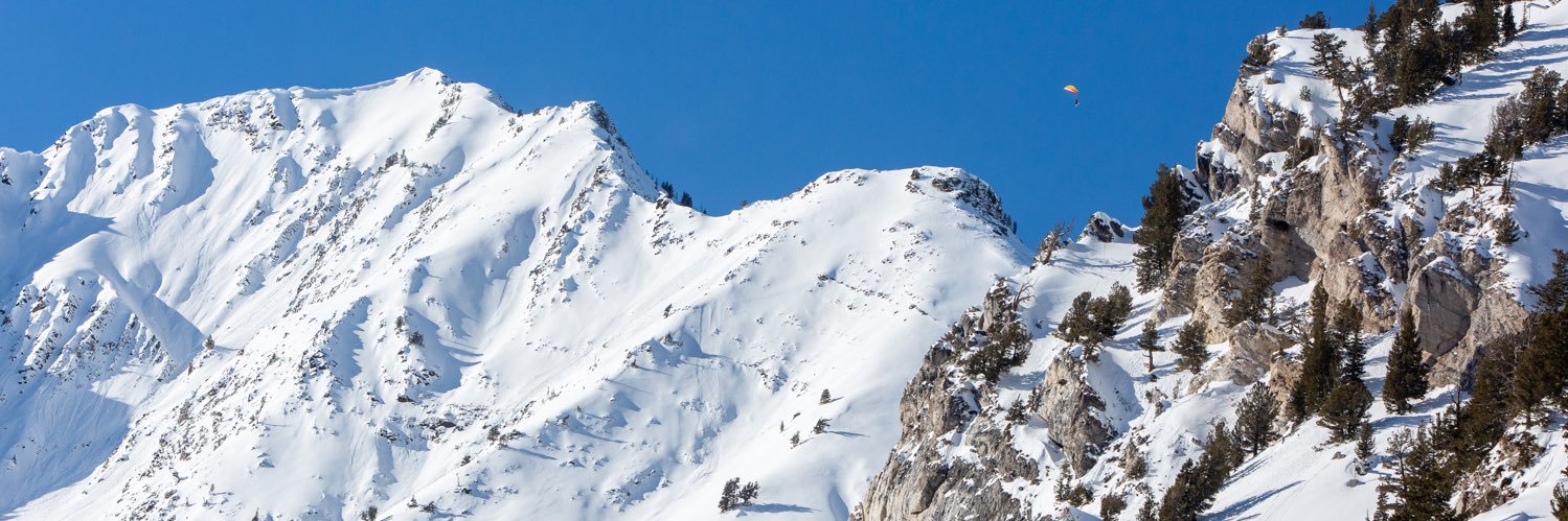 Reed Snyderman banner