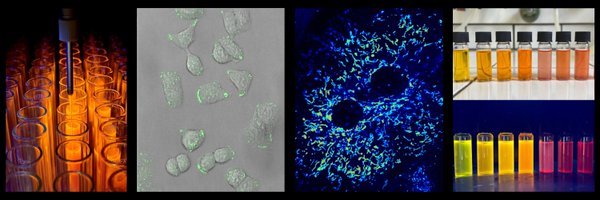 AChevalier18 Profile Banner