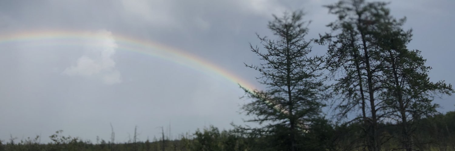 pajinavida's profile banner image