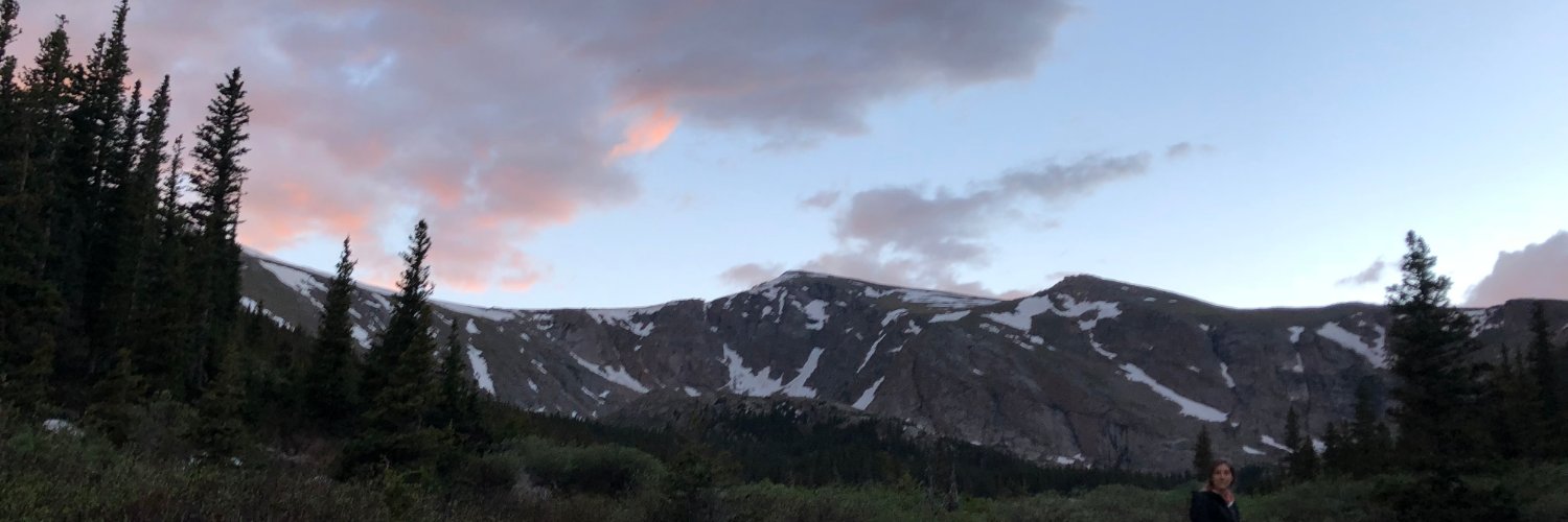 claire steinweg banner