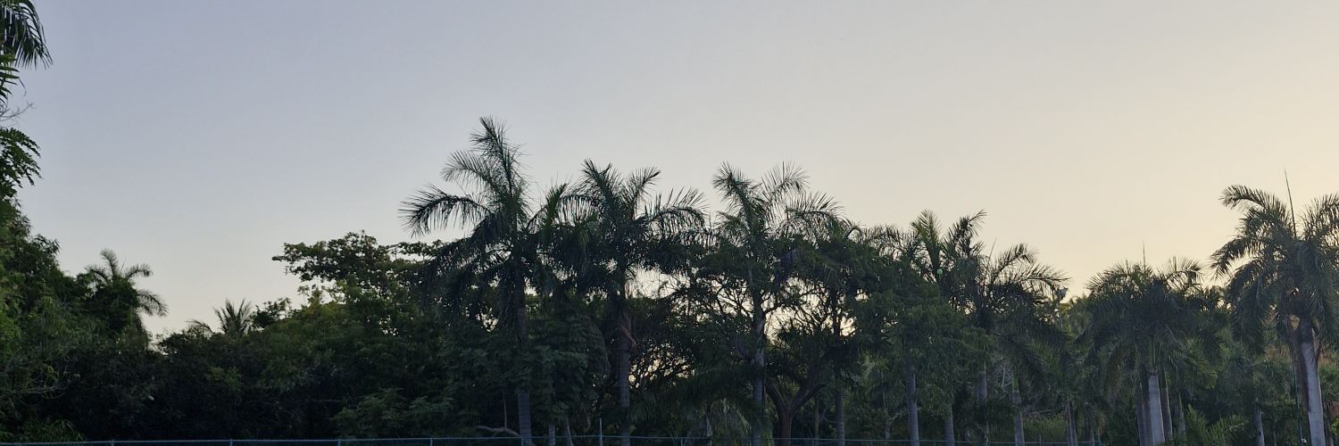 IIerrera's profile banner image