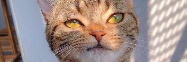 BdzzJmsR Profile Banner