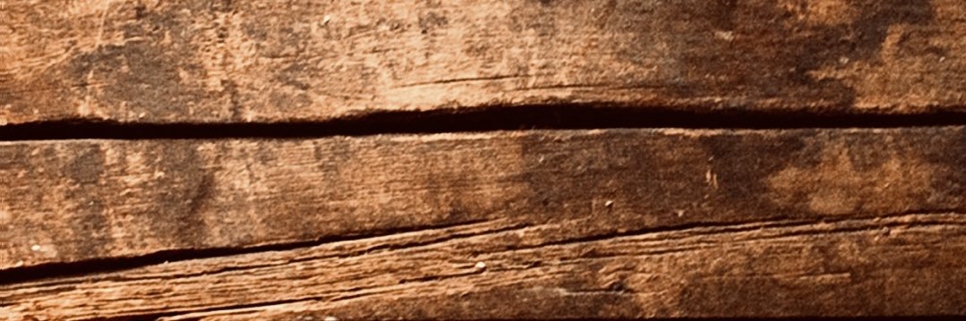 nellynel716's profile banner image