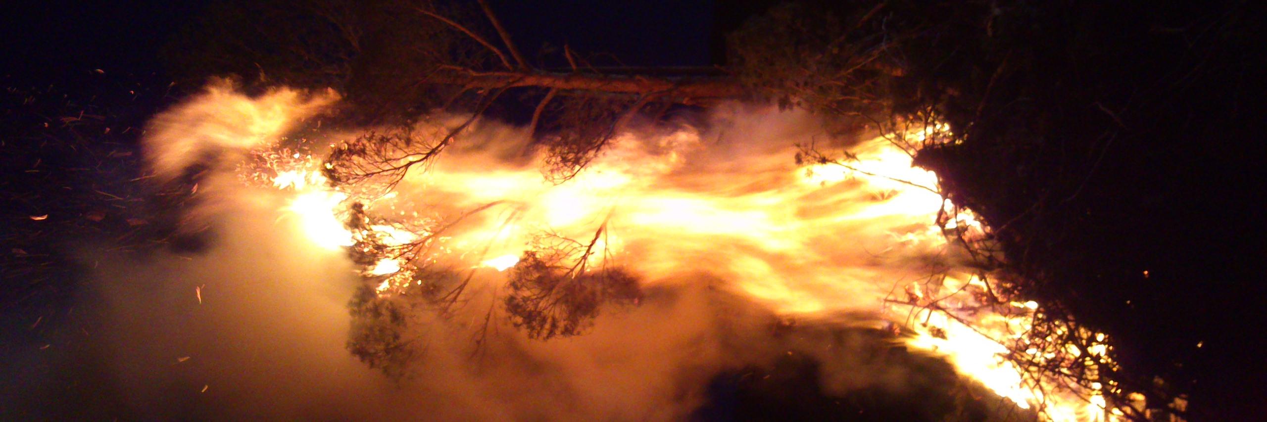 InterAlcorisa's profile banner image