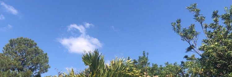 RuizValeri's profile banner image