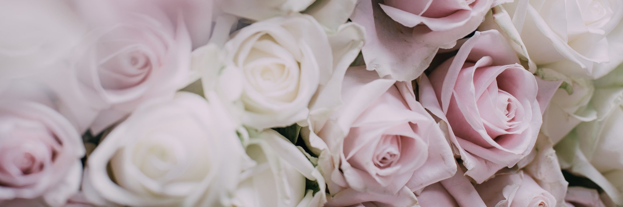 VidaDePapelBlog's profile banner image