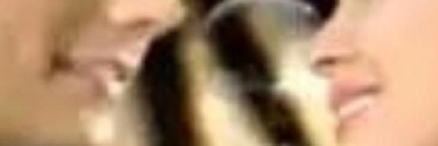 KCDanFan's profile banner image