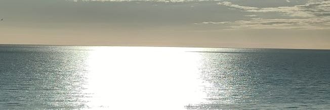 Adalberto Reinares banner