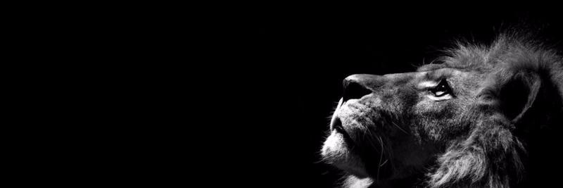 Lucy_Aes's profile banner image