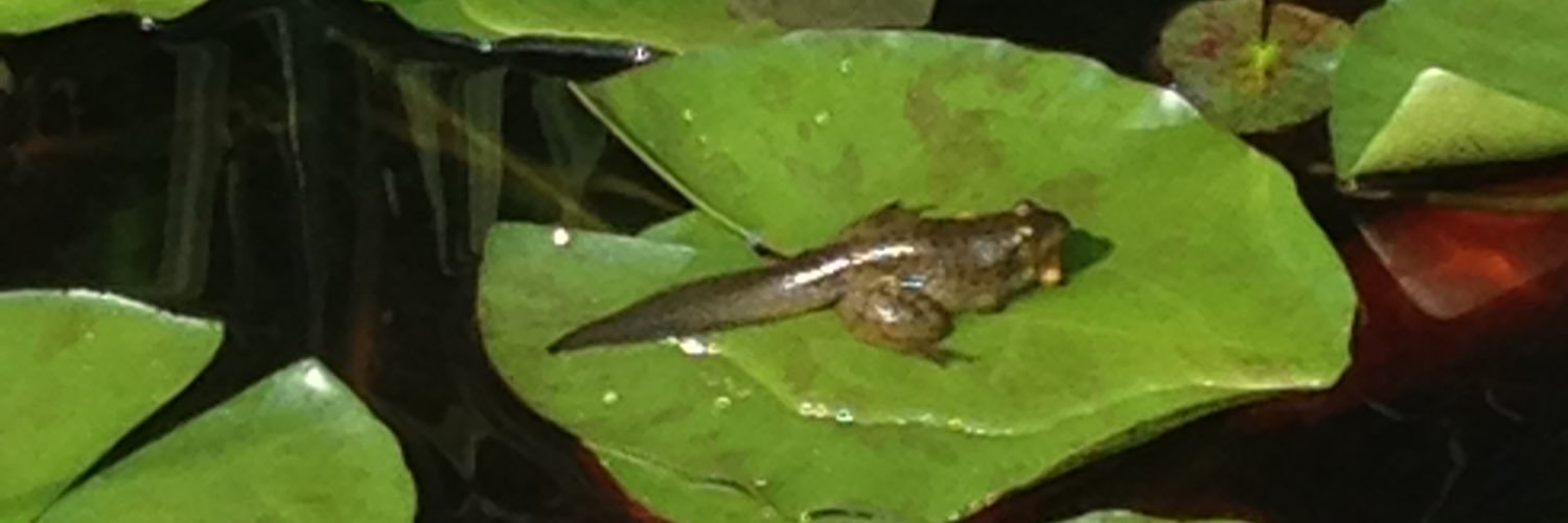 zenfishbaits's profile banner image