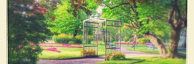 halifax_garden's profile banner image