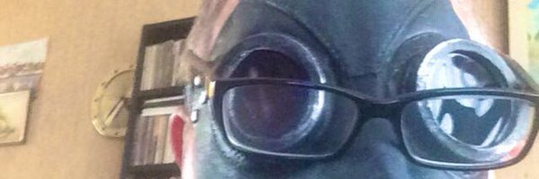 WillietheFly Profile Banner