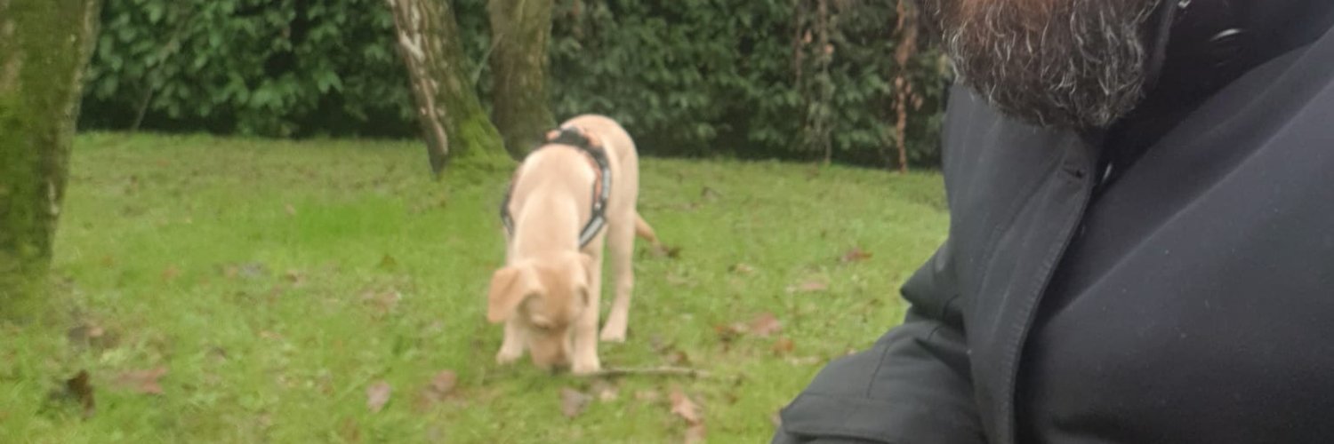 Vincenzo banner