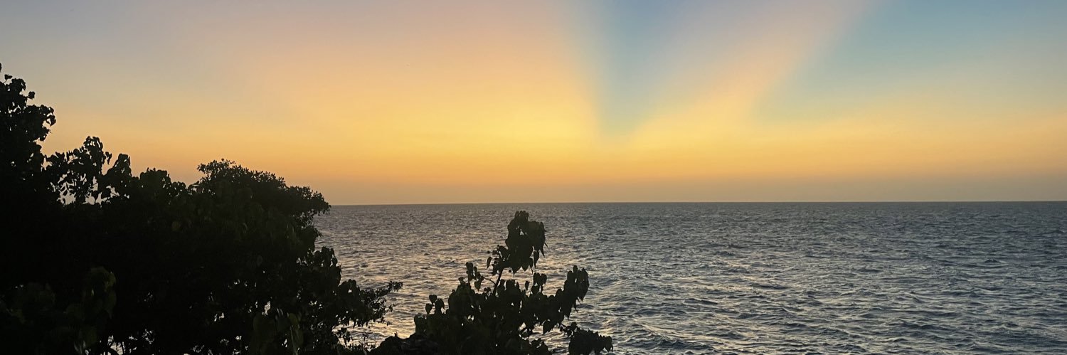 Manriq_y's profile banner image