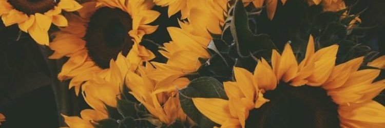 klenamoore's profile banner image