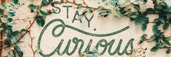 CdnZmbiRytr's profile banner image