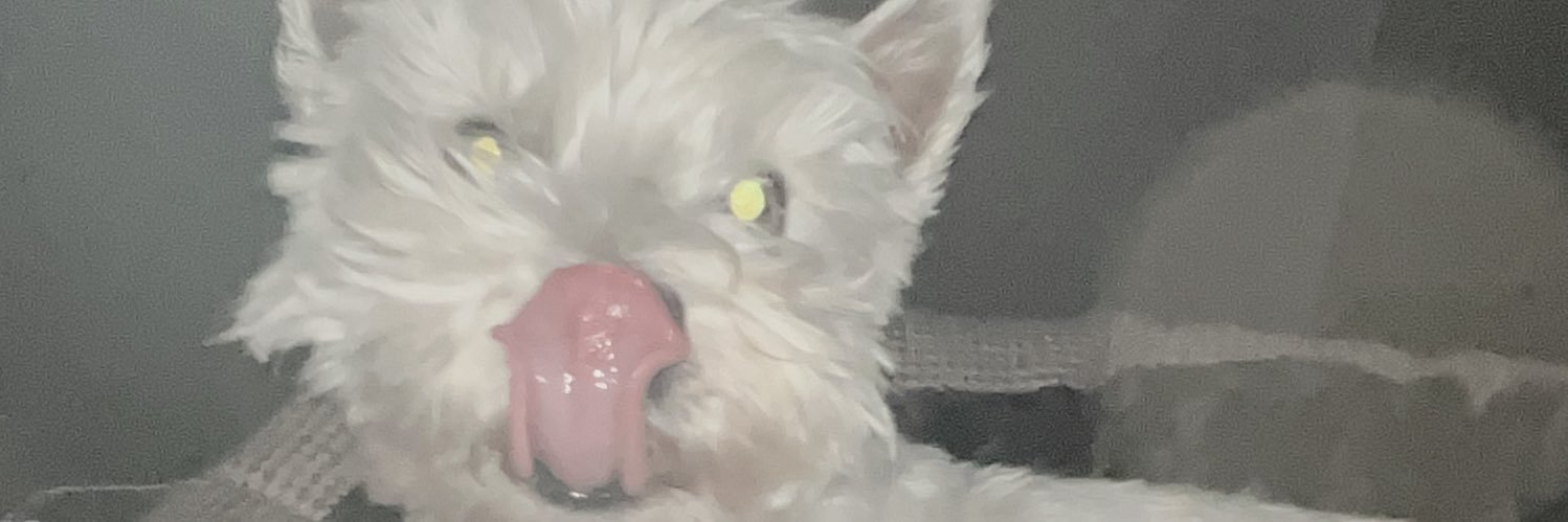 Ro banner