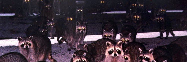 baptisteanss's profile banner image