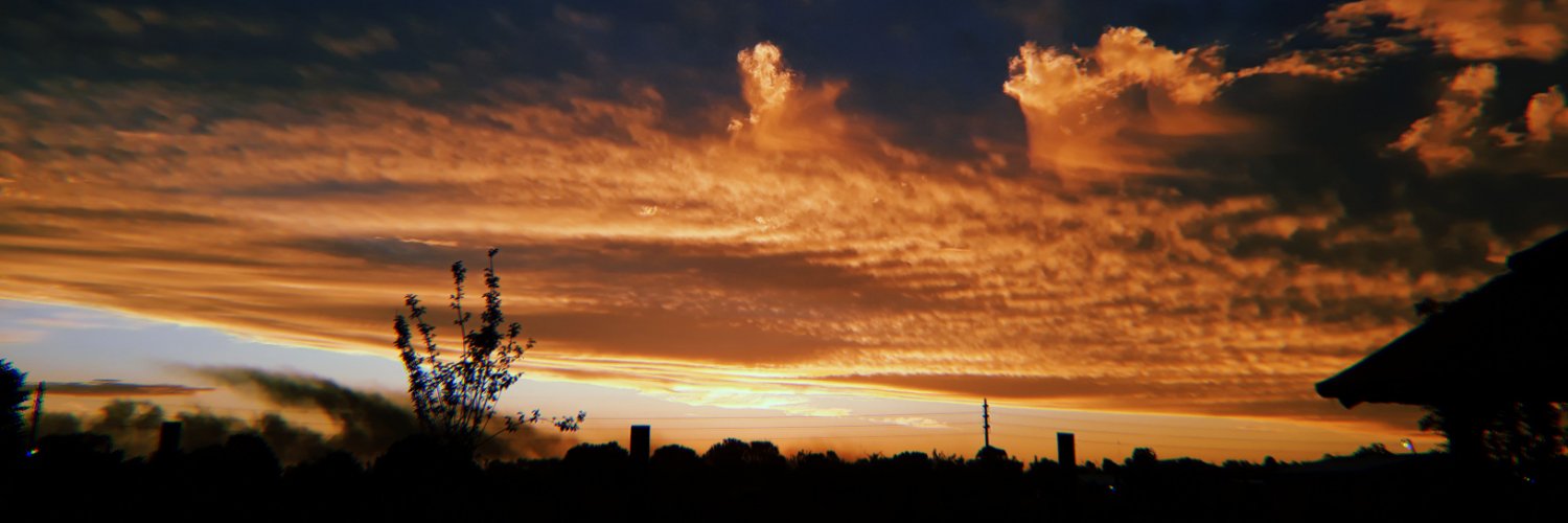 Tadeogutierrezl's profile banner image