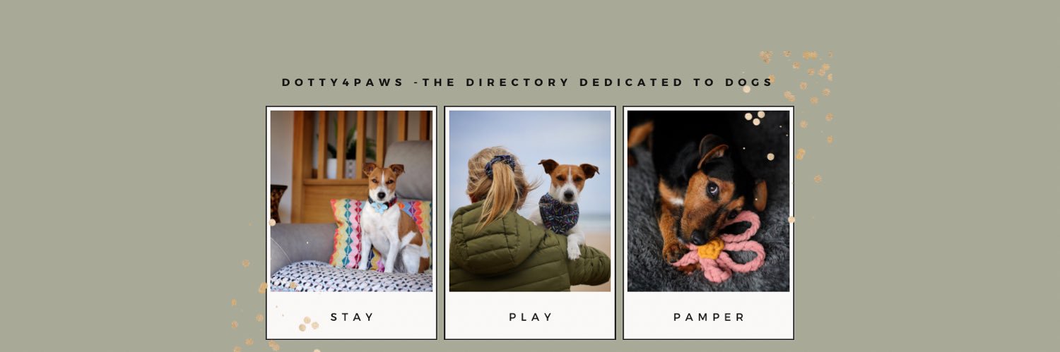Dotty4Paws's banner