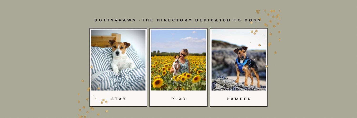 Dotty4Paws banner